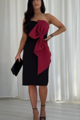 Kleit punase suure lipsuga